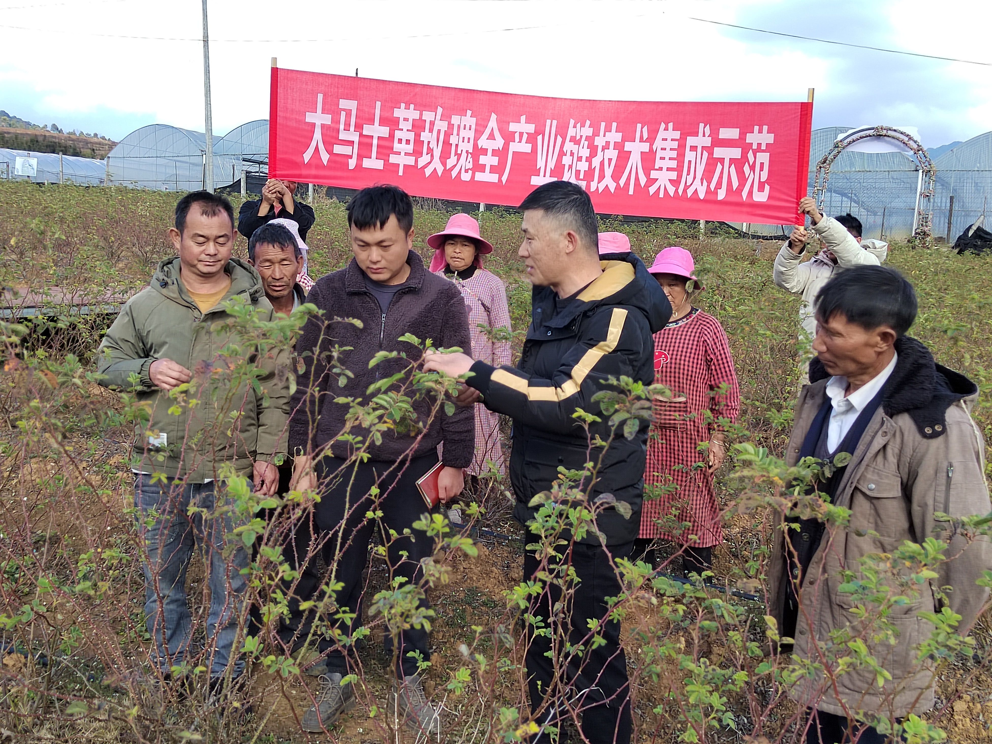 花卉所科技人員指導(dǎo)露絲福公司開(kāi)展鄉(xiāng)村振興科技創(chuàng)新縣——大馬士革玫瑰全產(chǎn)業(yè)鏈技術(shù)集成課題
